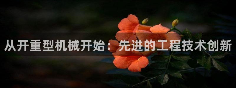 龍八國際相似的平臺(tái)