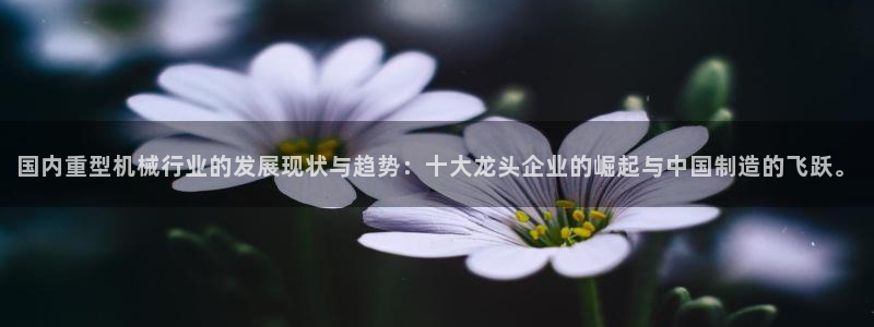 龍八國際網(wǎng)址