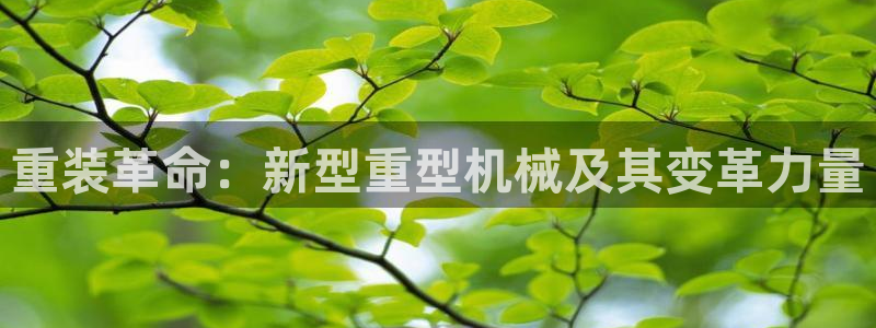 龍八國(guó)際注冊(cè)
