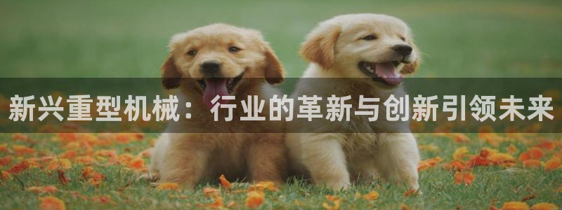 龍八國際在哪里啊