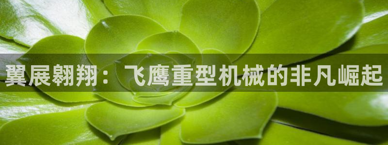 龍八國(guó)際頭號(hào)玩家
