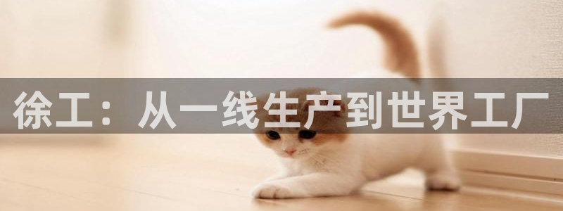 龍八國際網(wǎng)店客服電話