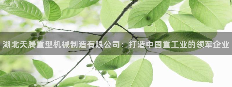 龍八國際下載鏈接一