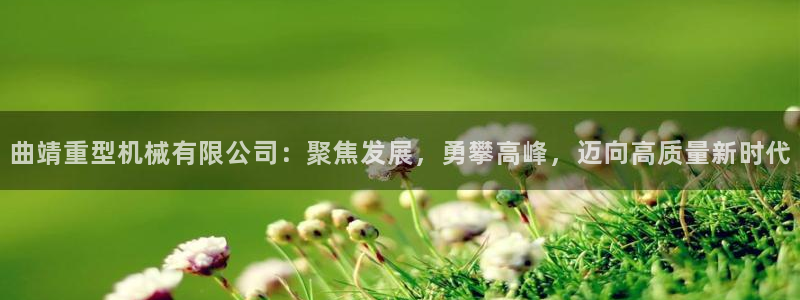 龍八國(guó)際娛樂(lè)官方網(wǎng)址