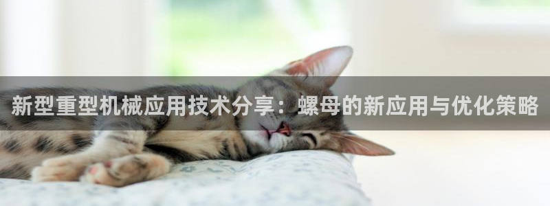 龍八國(guó)際鏈接