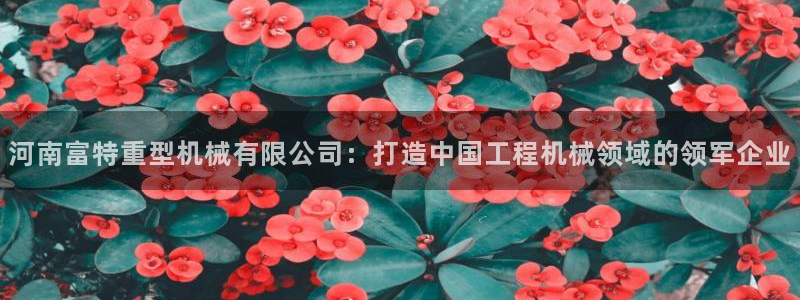 龍八國(guó)際提現(xiàn)待審核