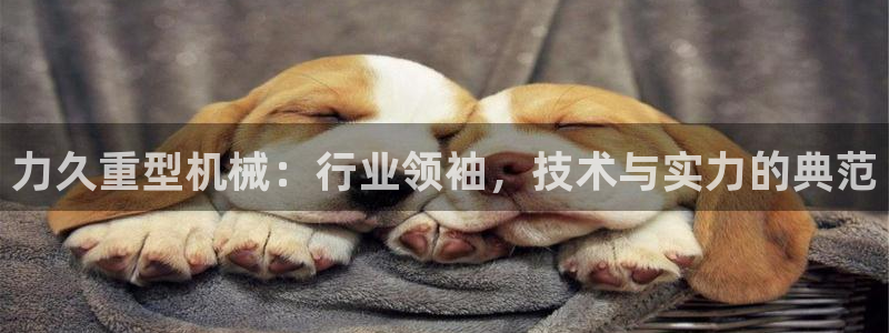 www.龍八國際