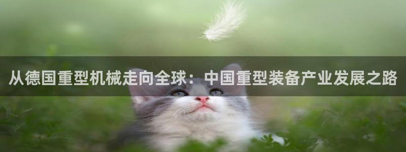 龍八國際app怎么下載