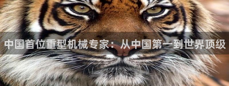 龍八國際怎么樣
