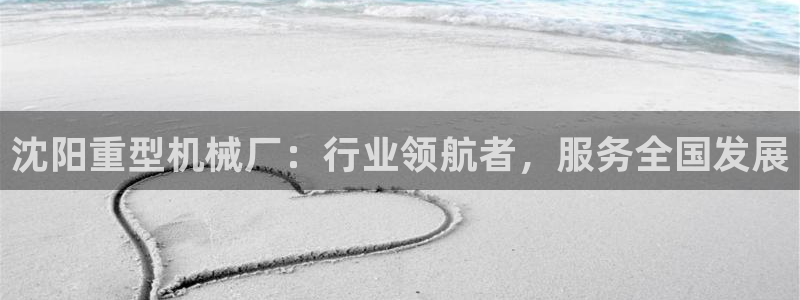 大英龍八國際