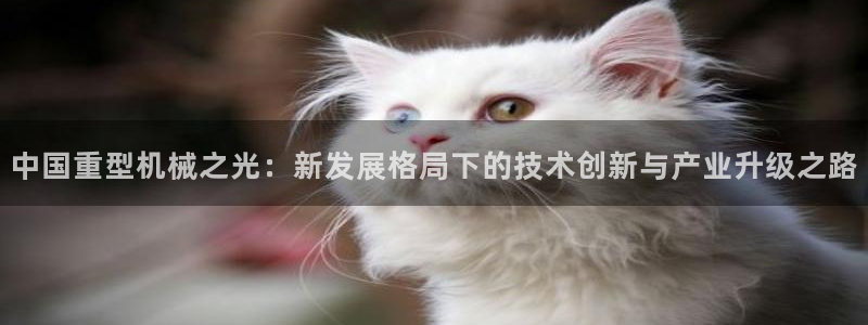 龍八國際娛樂二維碼