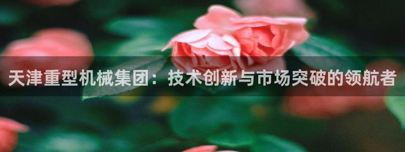 龍八國際app電話號碼