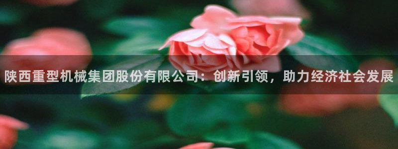 龍八國(guó)際娛樂老板是誰