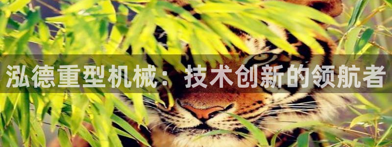 龍八國(guó)際不支持蘋(píng)果手機(jī)