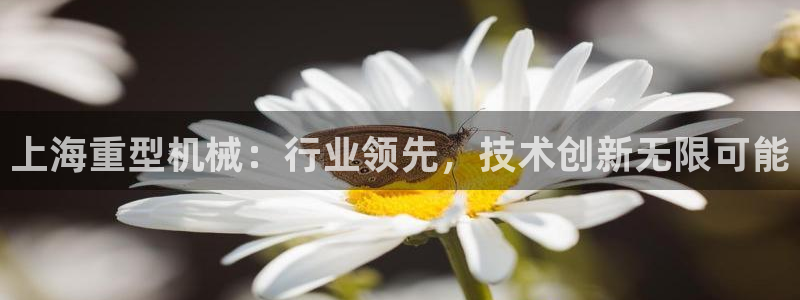 龍八國際pt客戶端