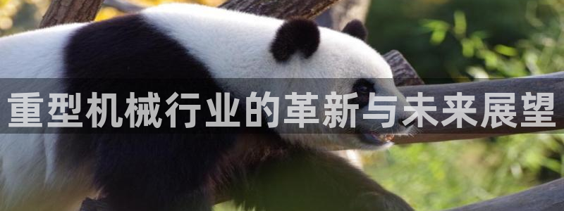 龍八國際娛樂平臺(tái)網(wǎng)站