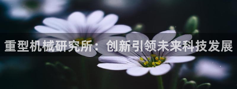 龍八國際下載鏈接一