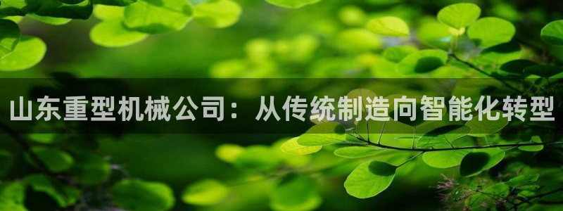 龍八國(guó)際手機(jī)版下載安裝