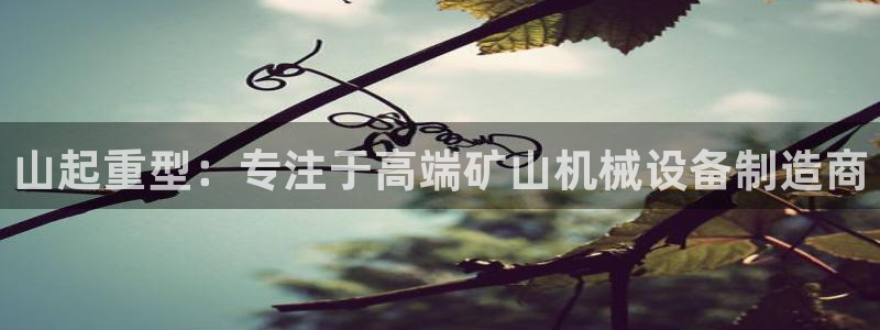 正規(guī)龍八國(guó)際娛樂