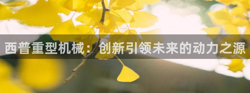 在龍八國(guó)際