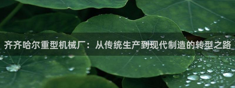 龍八國際app下載安卓
