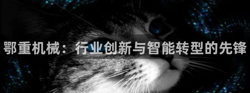 龍八國(guó)際q18 tv