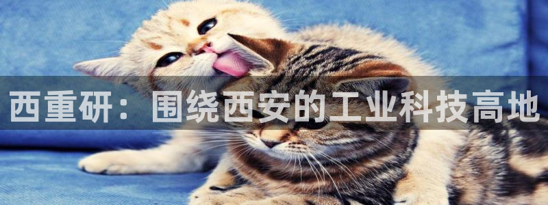龍八國際提現(xiàn)待審核