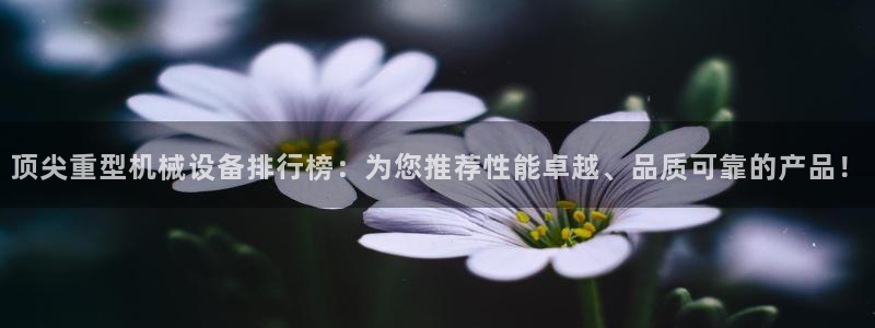 怎么舉報龍八國際