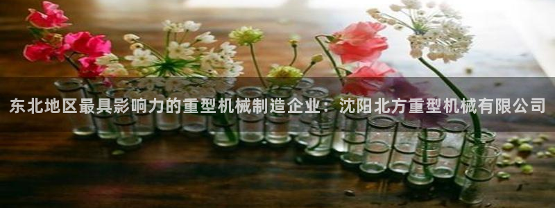龍八國際棋牌