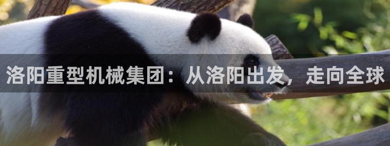 下載龍八國際游戲