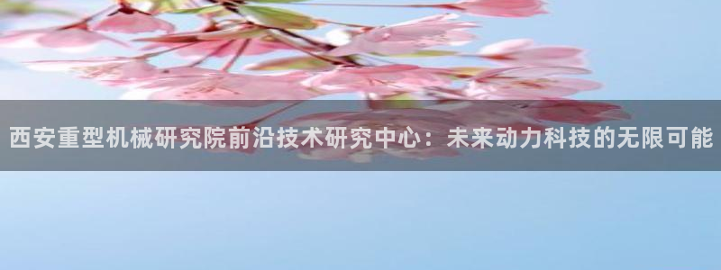 龍八國際pt