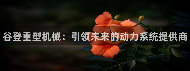 龍八國際下載鏈接安卓