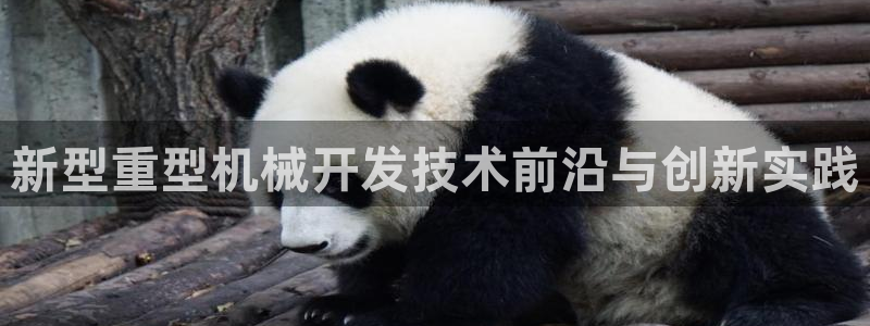 龍八國(guó)際娛樂游戲