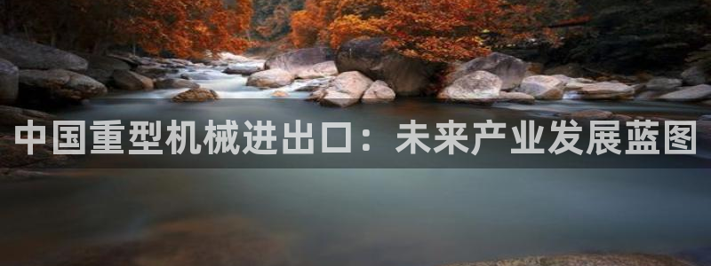 龍八國際華