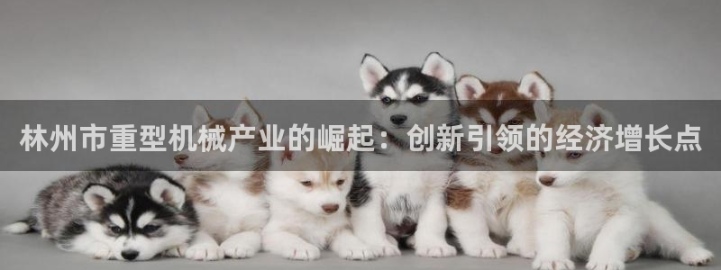 龍八國(guó)際娛樂(lè)平臺(tái)