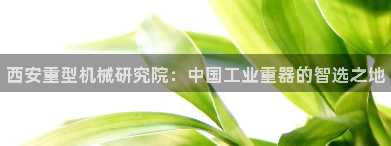 龍八國際網(wǎng)頁登錄