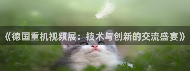 龍八國(guó)際app客戶端經(jīng)濟(jì)區(qū)