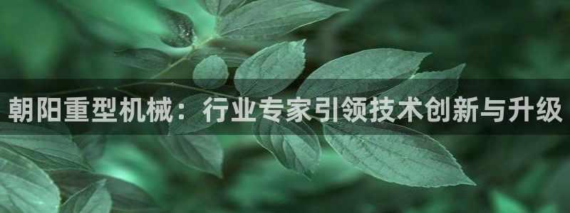 龍八國際代理app
