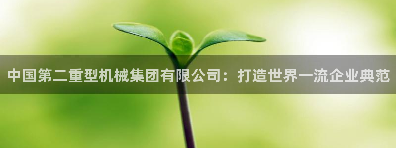 龍八國(guó)際娯樂城