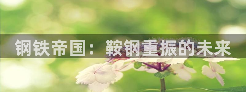 龍八國(guó)際有限責(zé)任公司