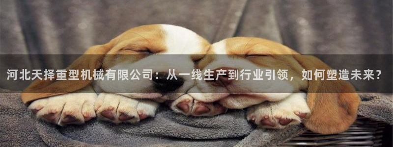 龍八國際下載鏈接安卓