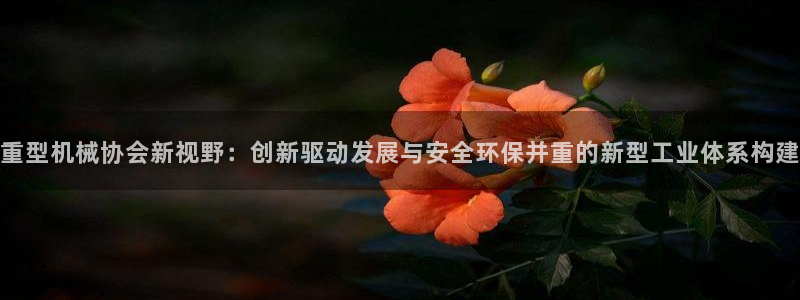 龍八國際跑路了嗎