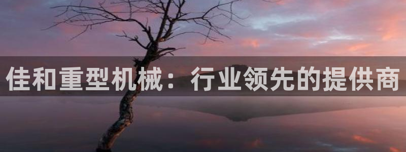 龍八國際官網(wǎng)首頁網(wǎng)頁版