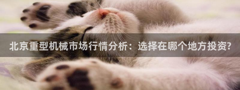 龍八國際網(wǎng)站