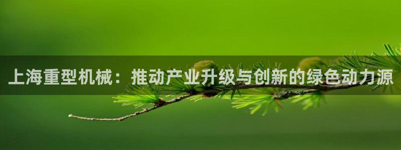 手機版龍八國際
