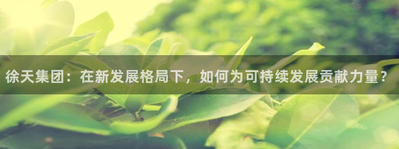 龍八國際棋牌官方網(wǎng)站