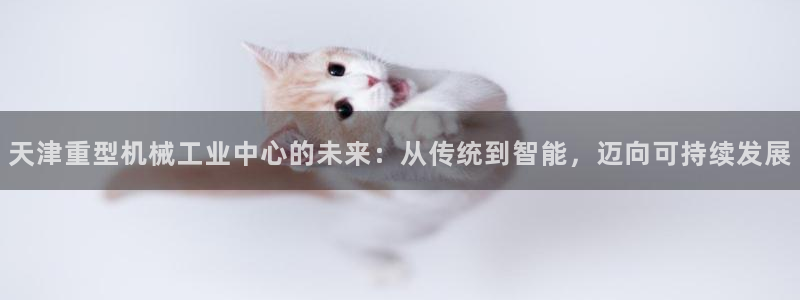 龍八國(guó)際游戲下載