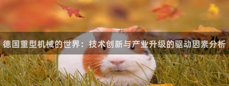 龍八國(guó)際app手機(jī)版下載安卓