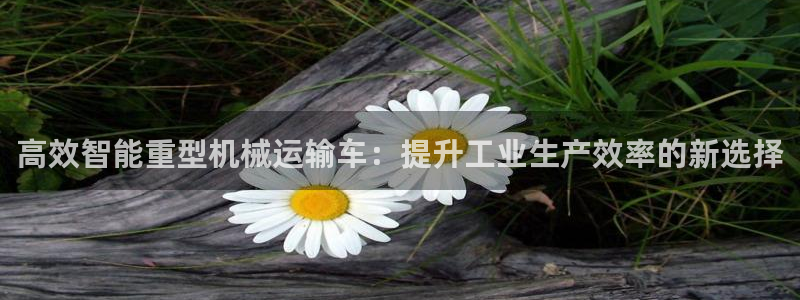 龍八國際娛樂官方