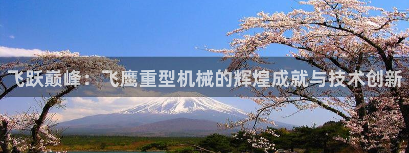 龍八國際2023
